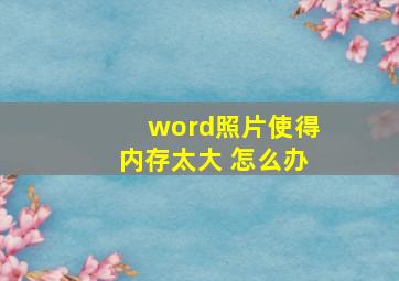 word照片使得内存太大 怎么办